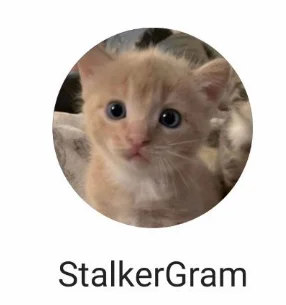 StalkerGram (СталкерГрам) 12.1.1 на Андроид