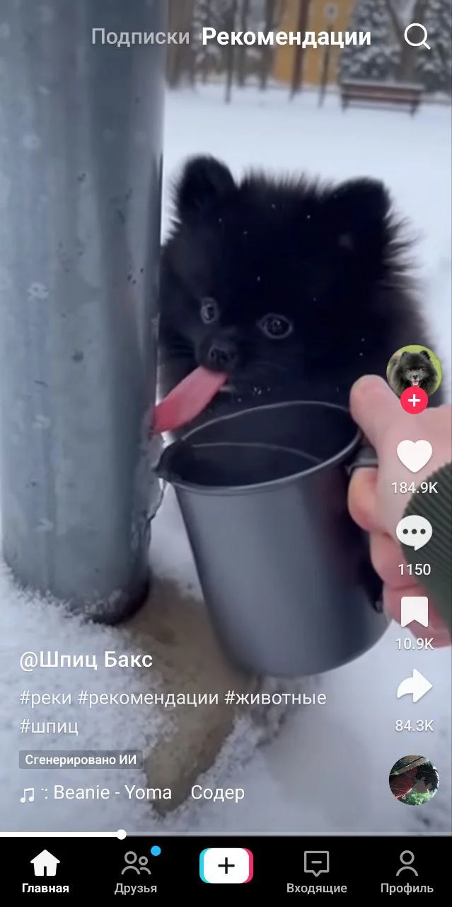 Лента рекомендаций мода на Тик Ток - Платинум