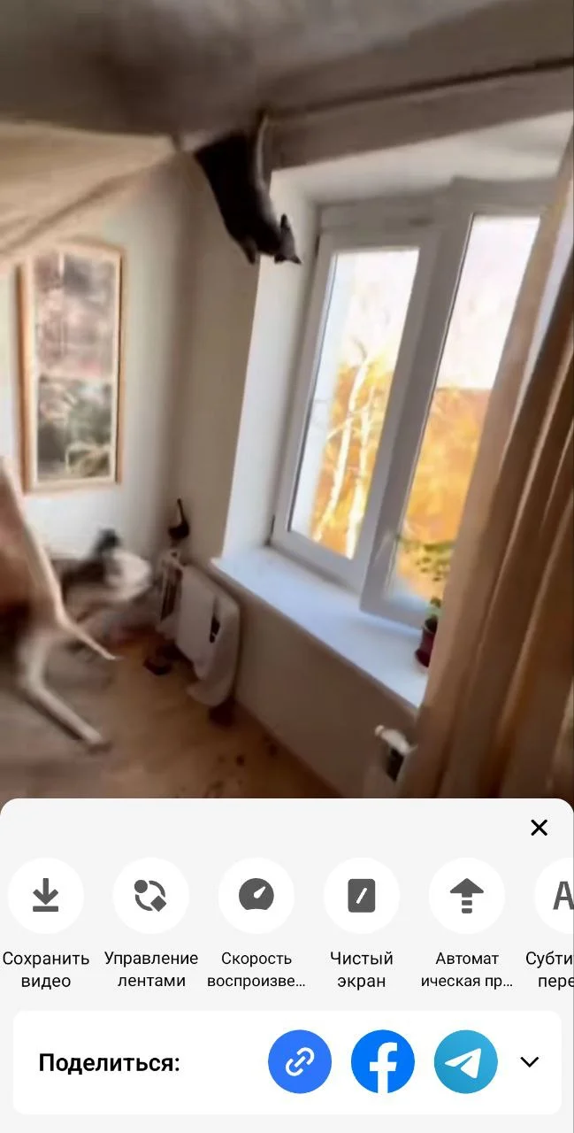 ТикТок Мод Платинум на Андроид - Сохраняем видео без ватермарок